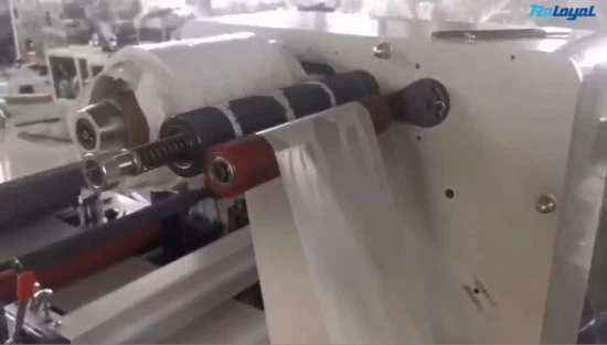 Máquina troqueladora de etiquetas adhesivas de superficie plana Raloyal